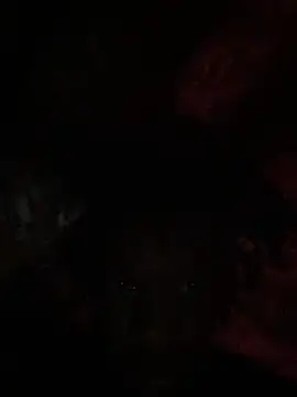 Zayinc online show from November 8, 1:36 pm