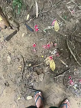 Gihan sil1088 online show from October 31, 10:18 am