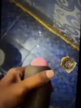 madarasi chennai online show from November 24, 5:36 pm