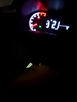 Gigolo31per31 online show from November 9, 5:33 am