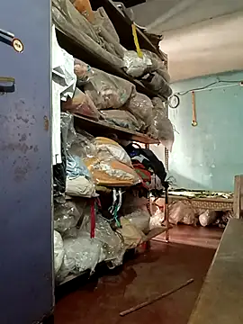 chhattisgarh realmeets online show from October 8, 8:51 am