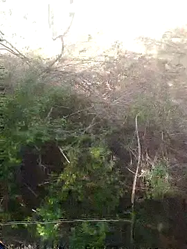 Aadityaaa07 online show from April 11, 8:40 am