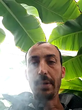 Sikici0734 online show from March 20, 11:36 am