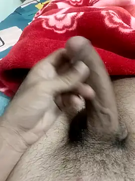 pn12345 online show from November 11, 6:24 pm