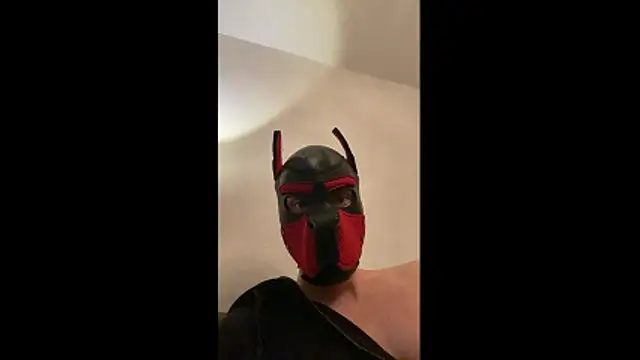 MolleDolle online show from December 15, 7:00 pm