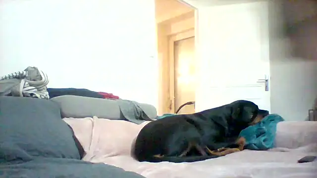 fresh-laD online show from October 26, 12:12 am