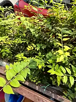 crawlerdrill online show from October 19, 4:39 am