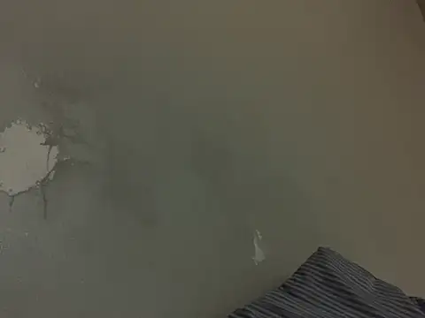 Nolaboyz online show from October 17, 9:57 am