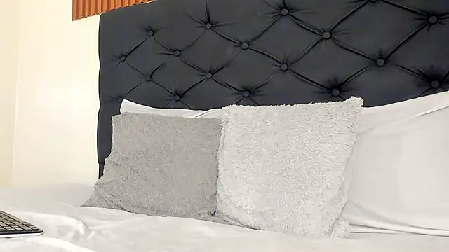 FireGuy 99 online show from February 5, 6:53 am