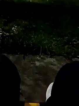 roludao fun online show from November 11, 10:59 pm