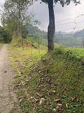 motomotoboy online show from March 5, 6:48 pm