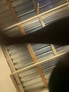 maloya267 online show from February 13, 1:49 pm