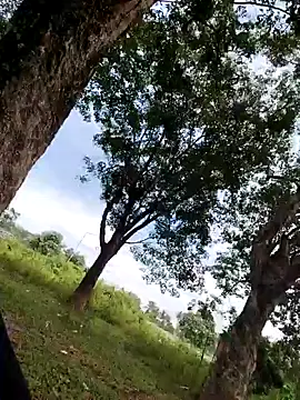 satulumbon05 online show from October 25, 3:08 am