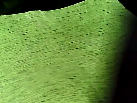 xanadu133 online show from March 9, 4:45 pm