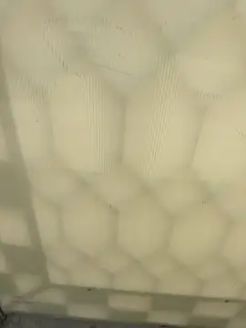 elqueteda lechita online show from April 20, 7:38 pm