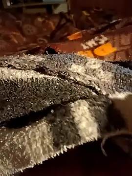 dlcjd  online show from January 13, 5:01 am