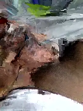 ExiguousBond online show from March 21, 2:43 pm