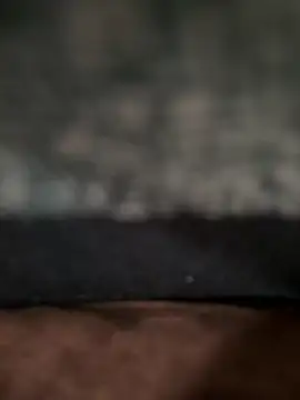 karrodu123 online show from November 16, 5:20 am