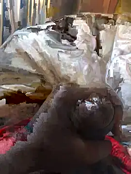 Rider2023 online show from November 26, 10:51 am