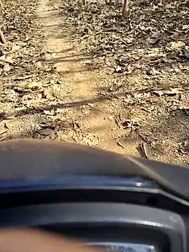 88zaifkhan88 online show from January 8, 5:01 am