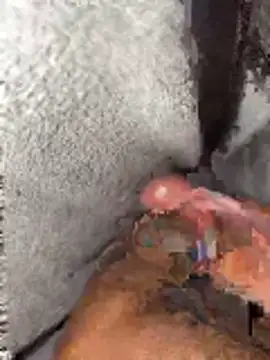 mfanawantwela online show from March 24, 10:24 pm