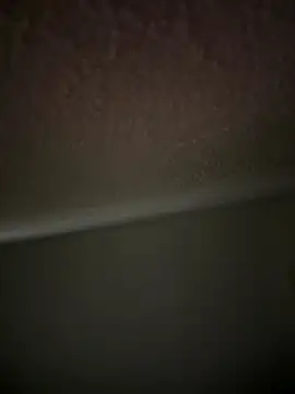 lige-8888 online show from November 29, 8:11 pm