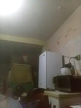 bebicho11 online show from December 2, 5:43 am