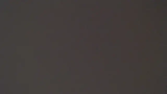 maxI dick33 online show from April 15, 11:04 pm