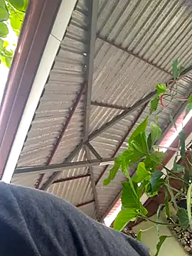 jackson33454 online show from December 4, 3:30 pm