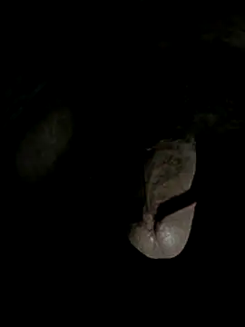 cockiers online show from December 14, 10:39 pm