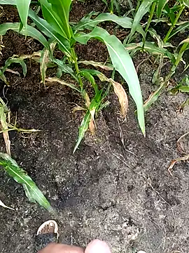 loki-king-143 online show from February 24, 4:02 am