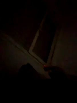 Camilooo123455 online show from December 23, 1:47 am