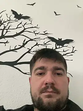 LienalWarplane online show from February 8, 3:05 pm