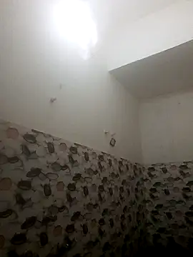 bongtools online show from December 19, 3:58 am