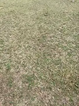 Tamilpaiyan07 online show from February 1, 3:49 am