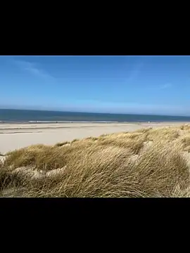 friemeldepiemel online show from March 19, 12:30 pm