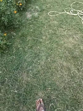 Pagelboy 089 online show from February 21, 10:38 am