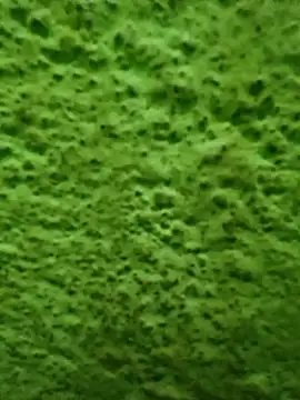 Pagelboy 089 online show from April 8, 11:57 pm