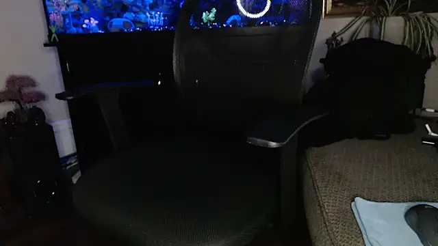 EspanolVato online show from February 26, 11:00 am