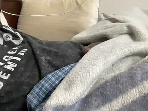 mdlaif1111 online show from February 10, 1:43 am