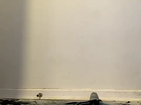 AnnoyedAnnual online show from January 15, 12:14 am