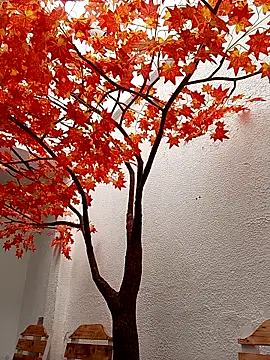 Dante Knox online show from March 23, 6:47 pm