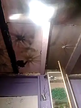 Guanatos13 online show from March 22, 2:49 am