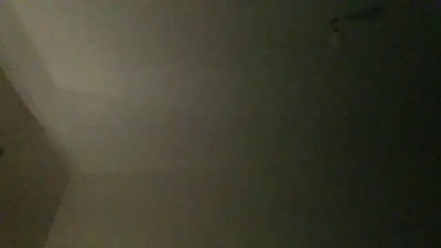 SnakeBit3s online show from May 16, 1:47 am