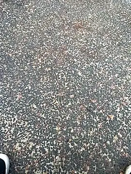 tyd247 online show from February 22, 6:26 am