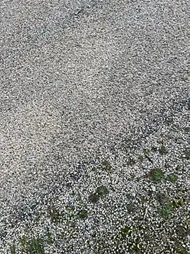 magicdickx21 online show from February 20, 2:08 pm