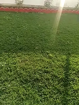 Romantic rakesh 12 online show from February 7, 11:17 am