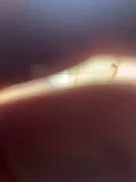 Kylxxx8 online show from March 29, 10:04 am