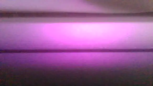 kaimsdecadus555 online show from February 12, 11:55 pm