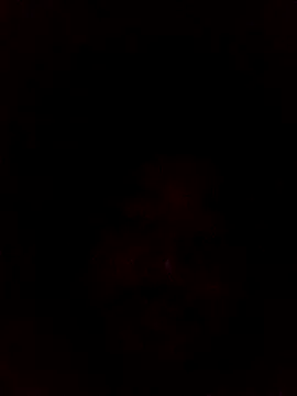 Frederico3302 online show from March 2, 7:15 am